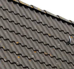 Beautiful tile roof in San Diego